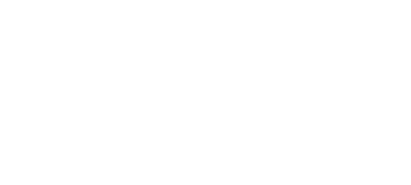 Método VICON