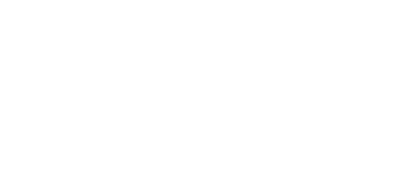 Método VICON
