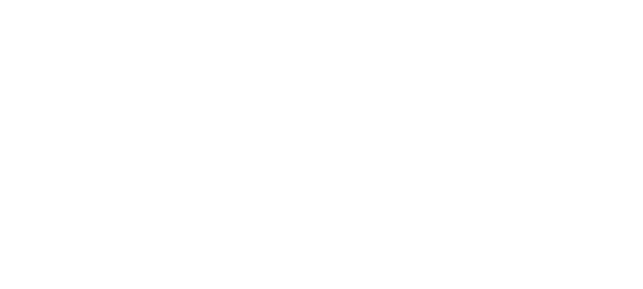 Método VICON