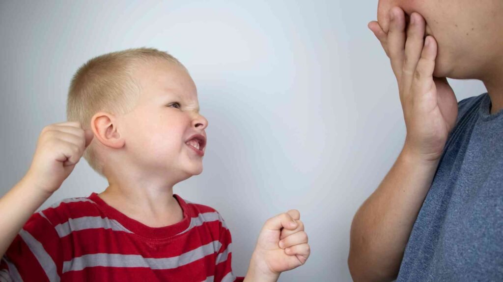 Estratègies per Gestionar la Frustració i l'Agressivitat en Infants amb Autisme: Tipus per a Famílies, Educadors i Terapeutes