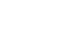 Zurich Foundation